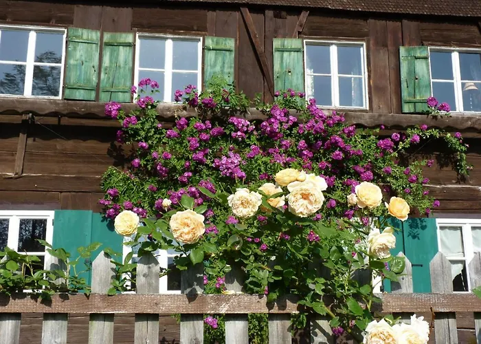 Rosenhof
